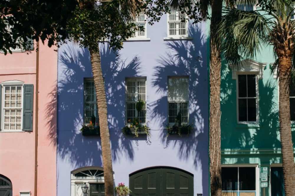 a tree in front of a building